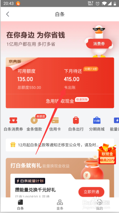 京东白条提现可以提前还全款吗(白条已经分期了怎么全部还上)