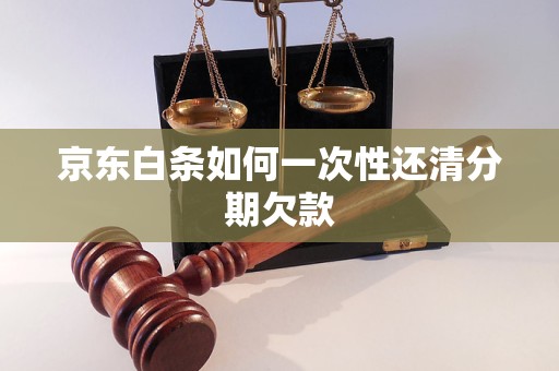 京东白条分期怎么提前还款全部结清了(京东白条分期账单怎么提前全部还清)