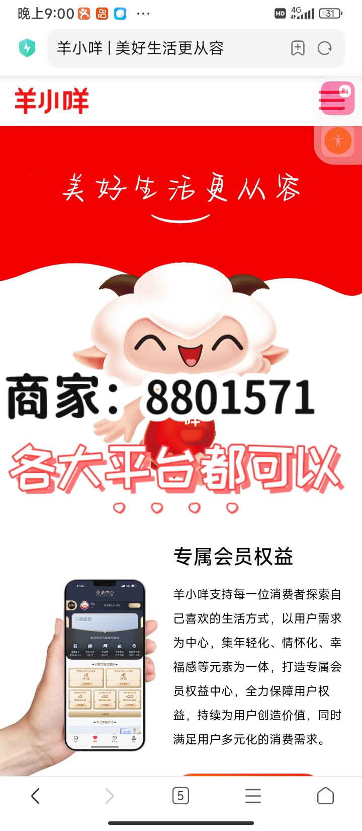 羊小咩额度查询步骤是什么(羊小咩申请额度填写多少)