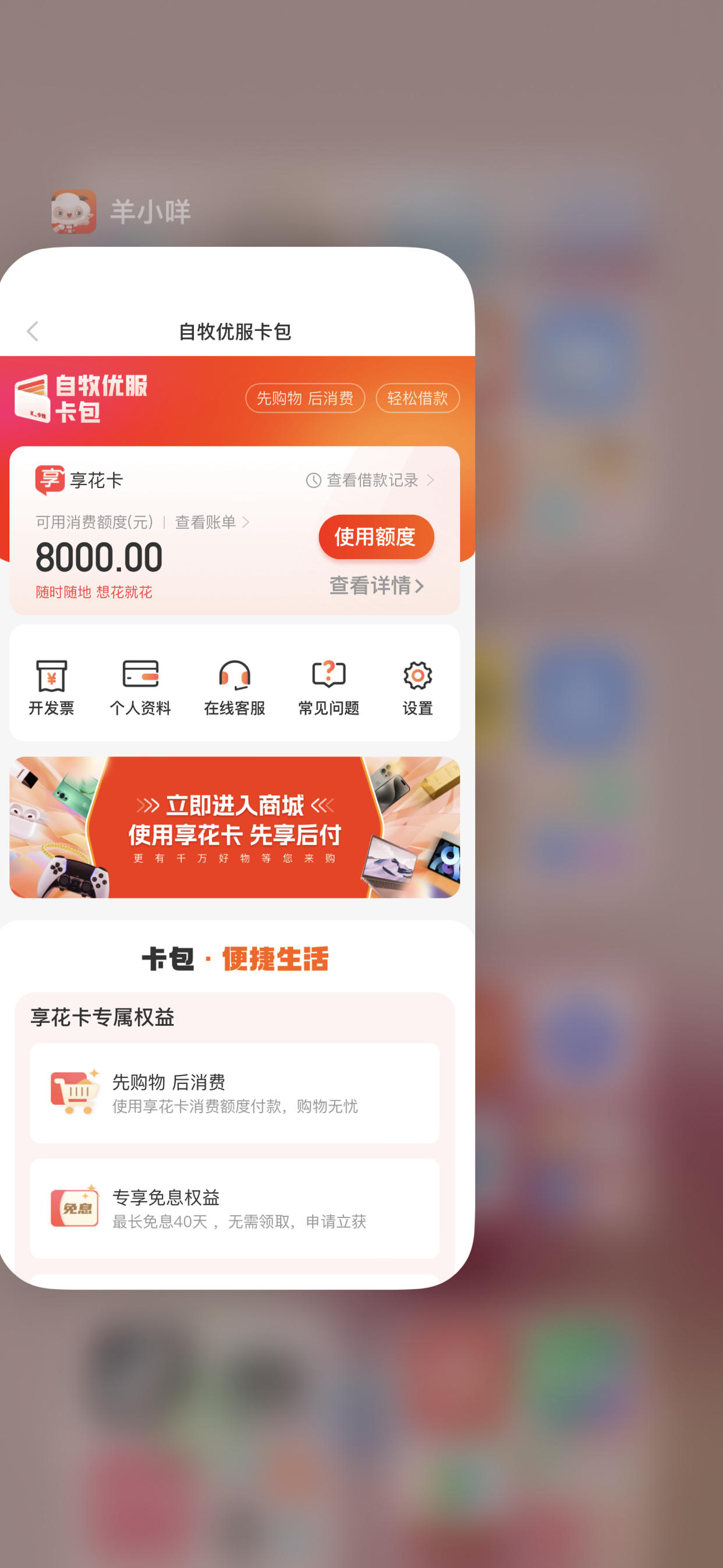 羊小咩里的消费额度可以提现吗(羊小咩消费额度上征信吗)