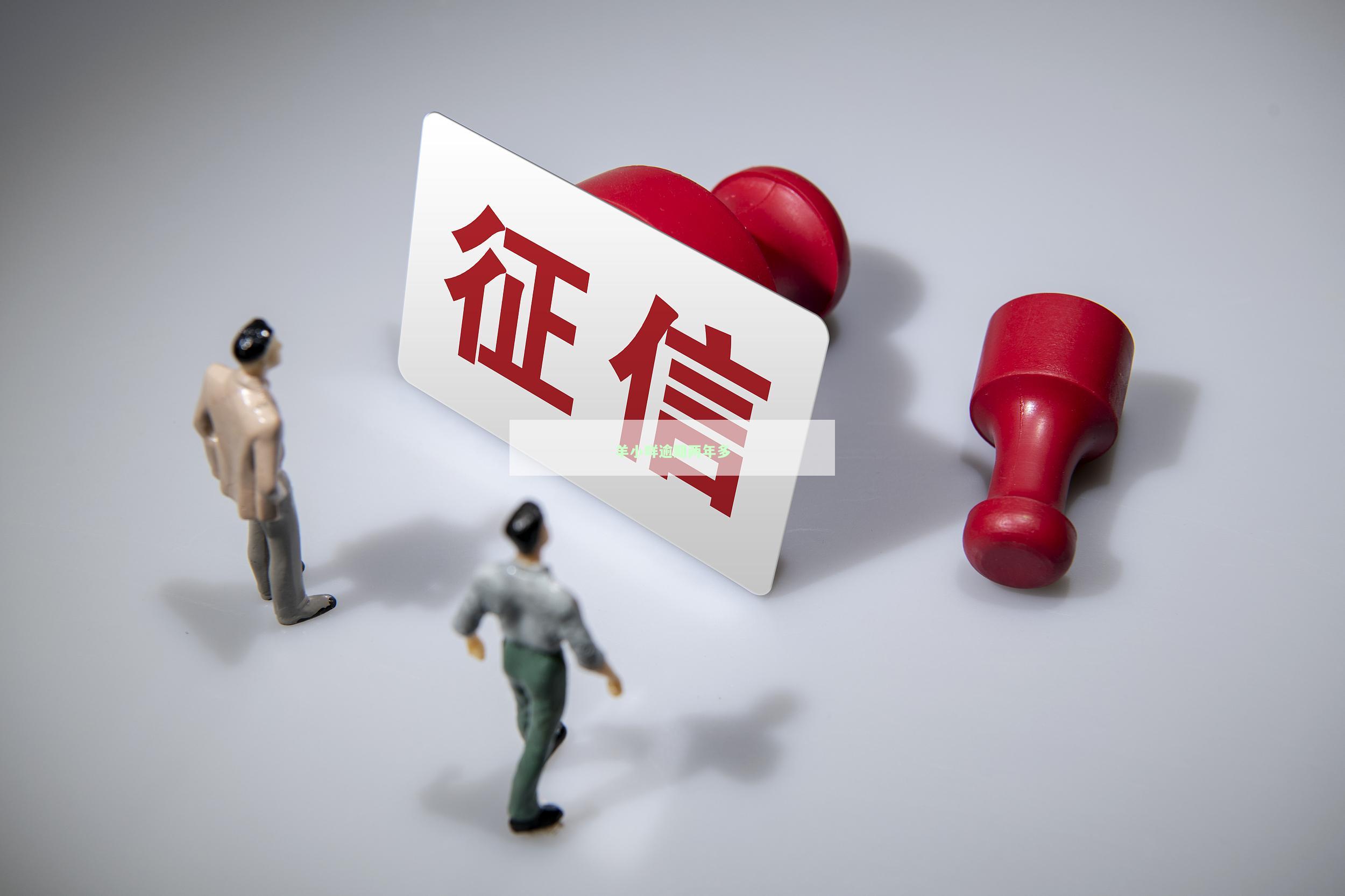 羊小咩购物额度逾期会怎样(羊小咩购物额度逾期10天)
