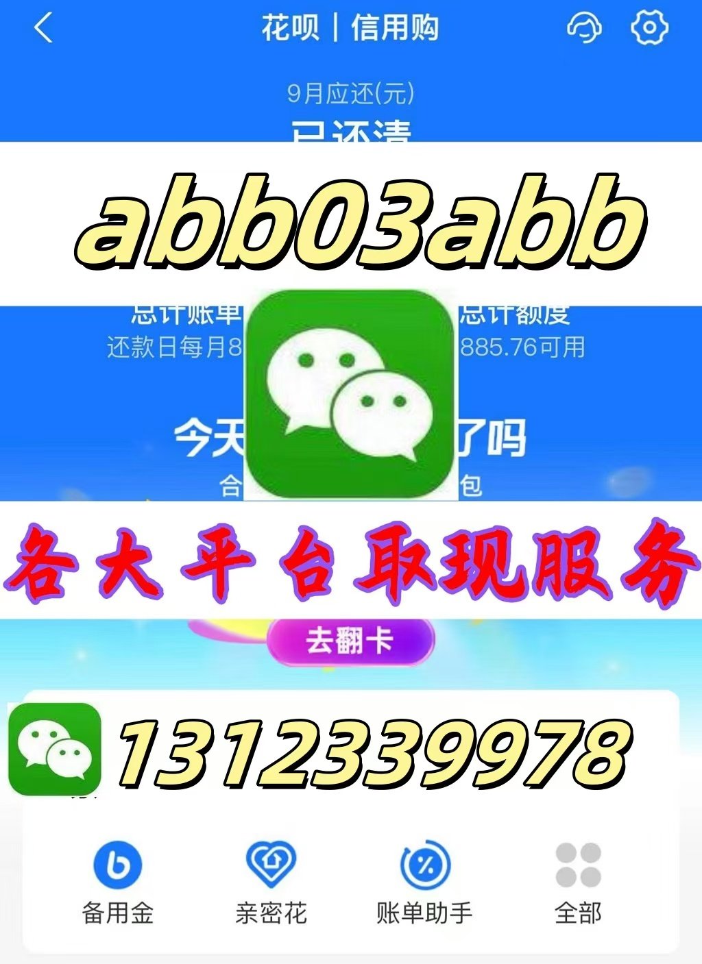 羊小咩购物额度怎么取出来(羊小咩购物额度2021年怎么套)