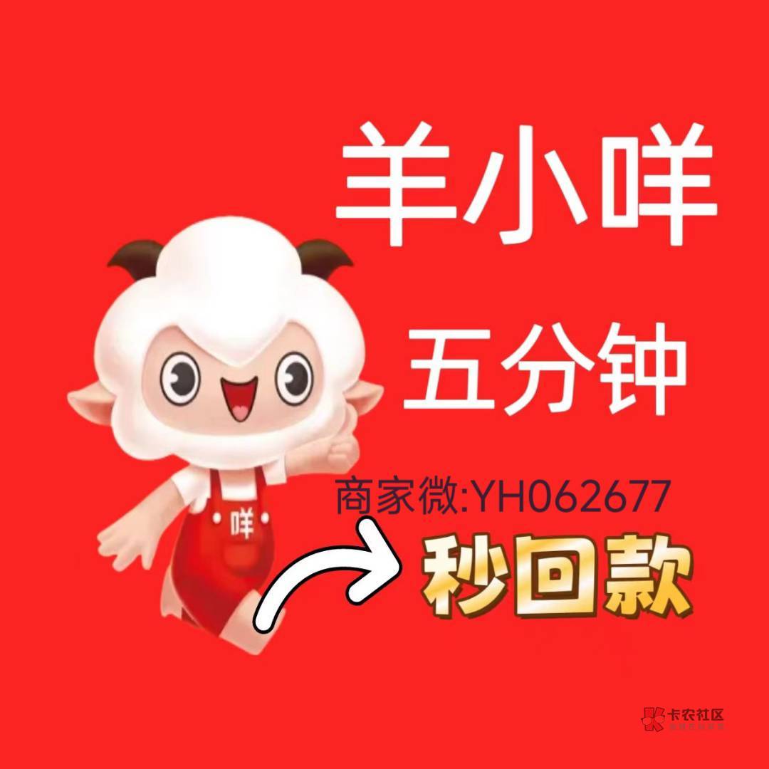 羊小咩有额度是不是就能下款(羊小咩可以下款吗)