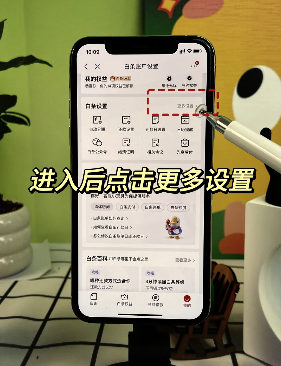 京东白条怎么用教程(京东白条怎么使用呢)