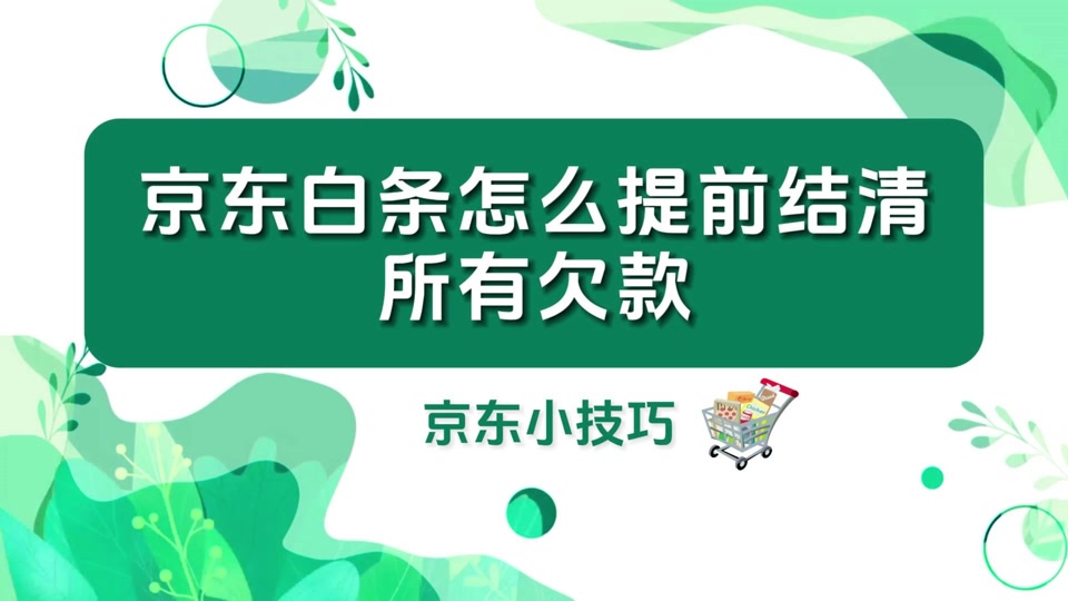 京东白条取现怎么还款日期不对(白条取现账单日)