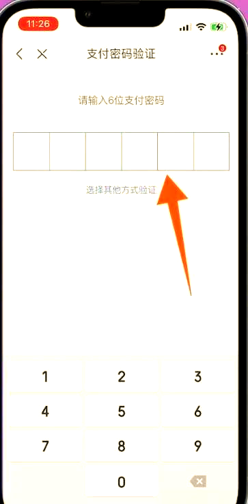 京东白条怎么提现出来(京东哪些商家愿意套白条)