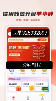 羊小咩购物额度怎么变现(羊小咩额度怎么套出来现金)